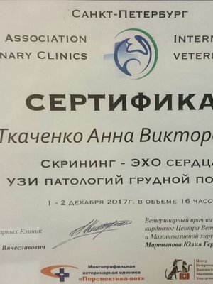 Фото врача Ткаченко Анна Викторовна