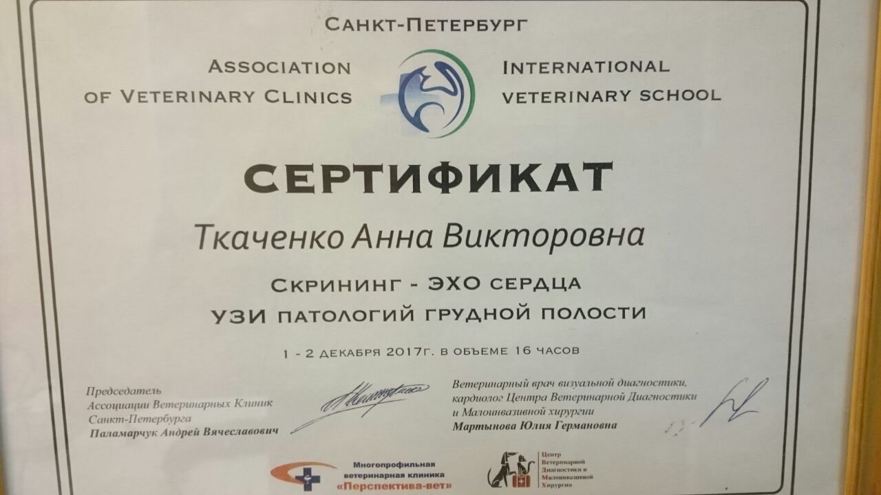Документ или сертификат