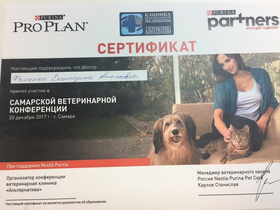 Документ или сертификат