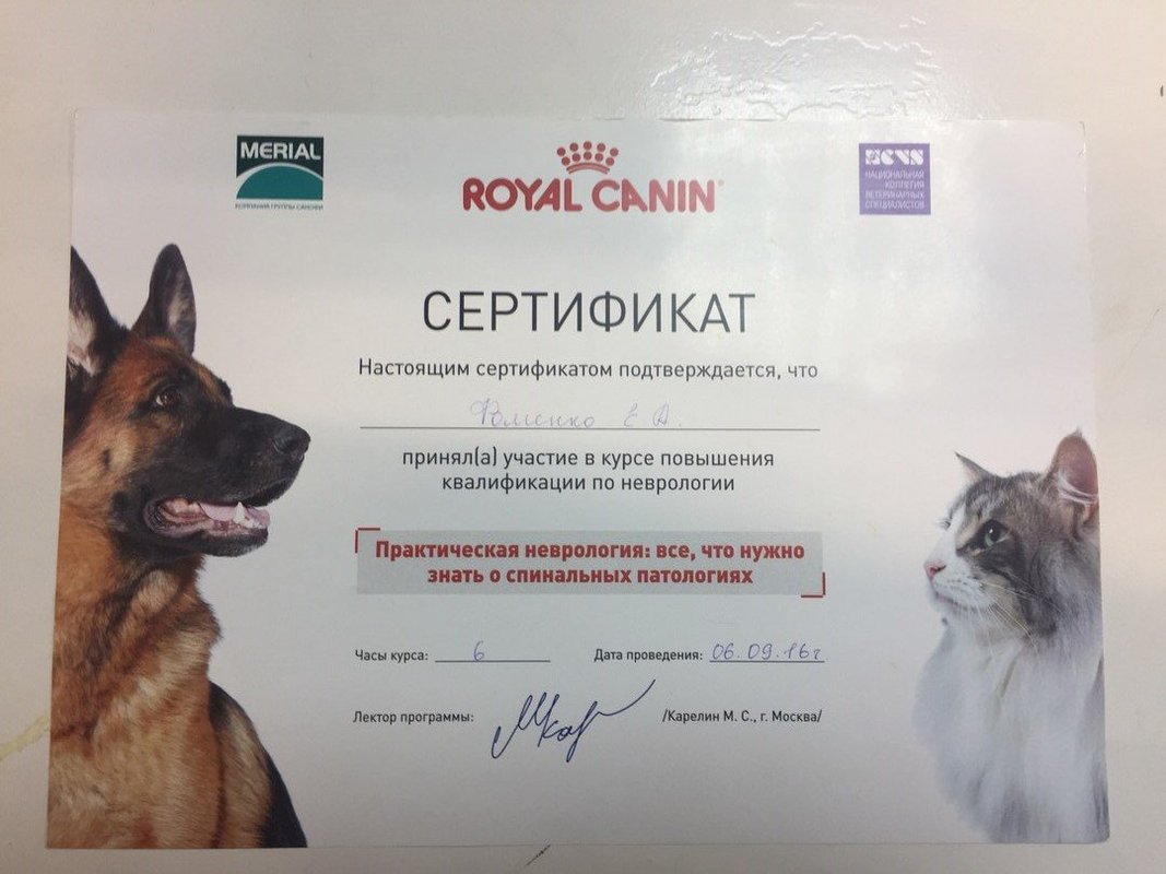 Документ или сертификат