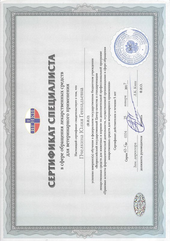 Документ или сертификат