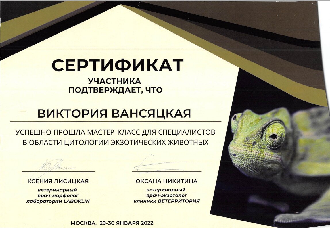 Документ или сертификат