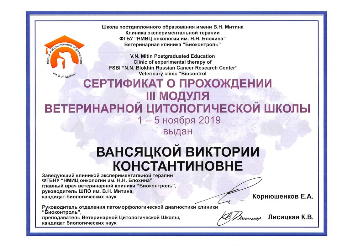 Документ или сертификат