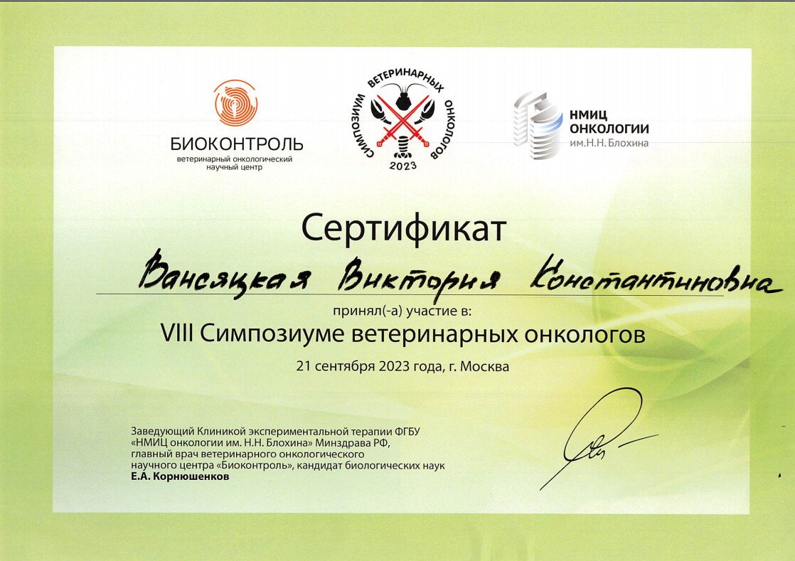 Документ или сертификат