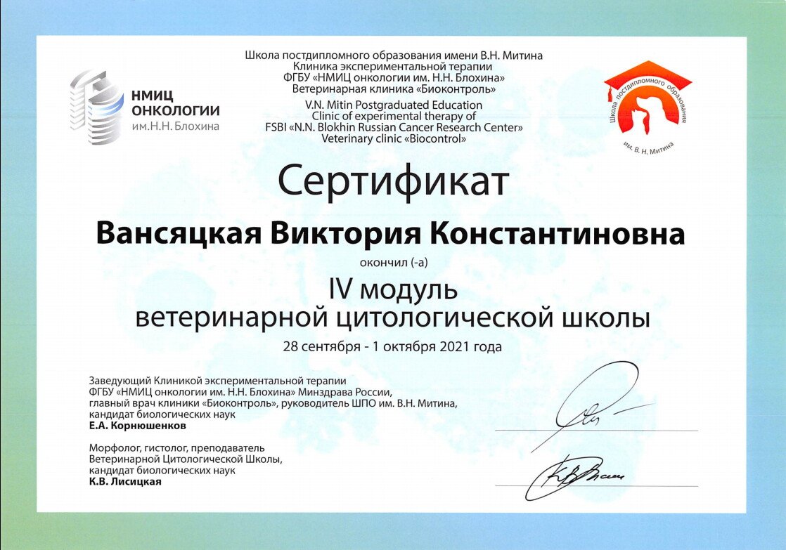 Документ или сертификат