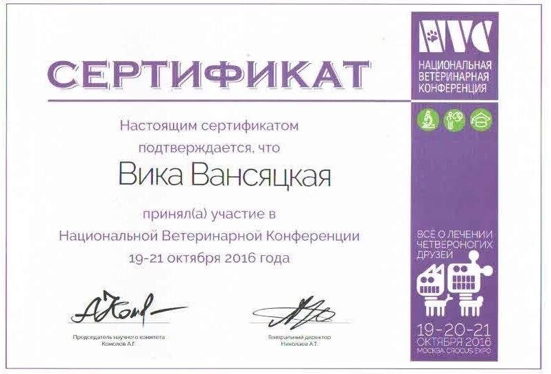 Документ или сертификат