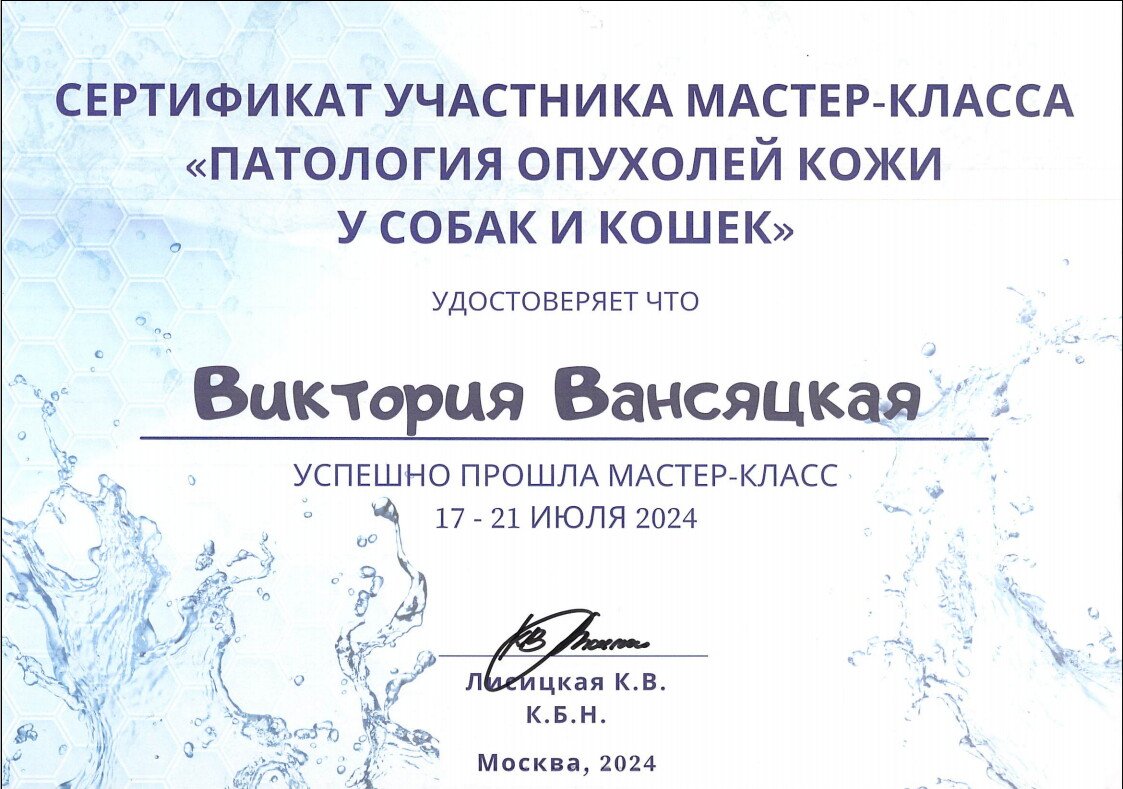 Документ или сертификат