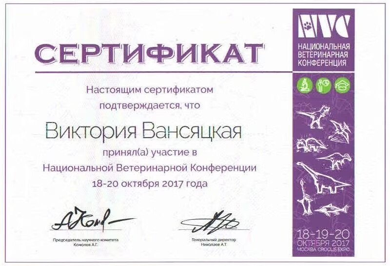 Документ или сертификат