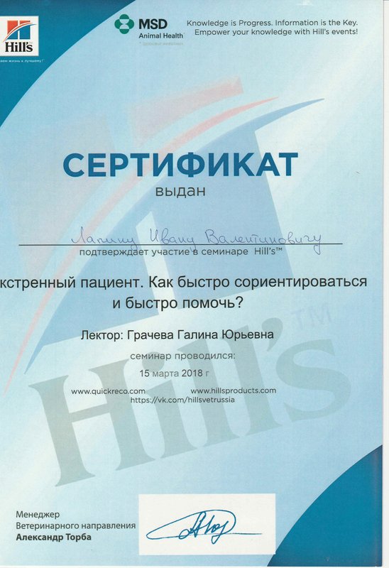 Документ или сертификат