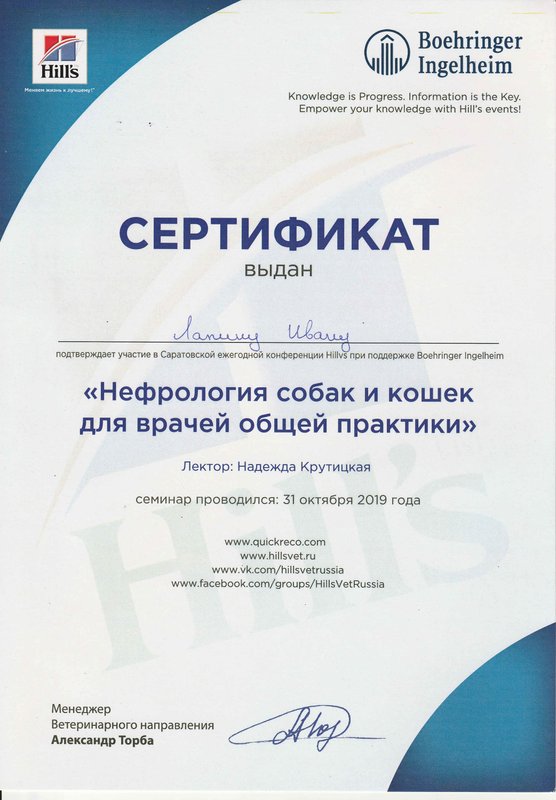 Документ или сертификат