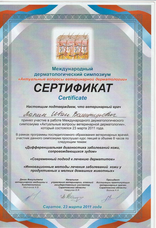 Документ или сертификат