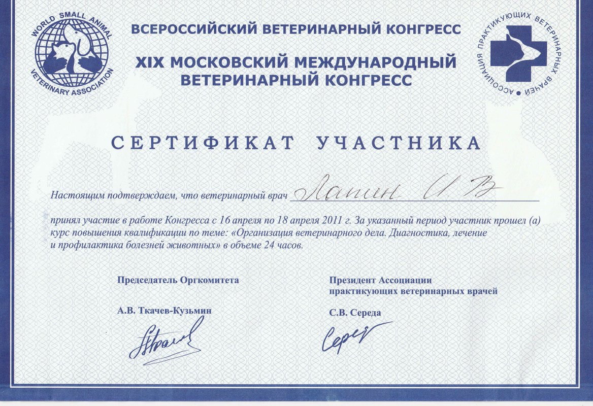 Документ или сертификат