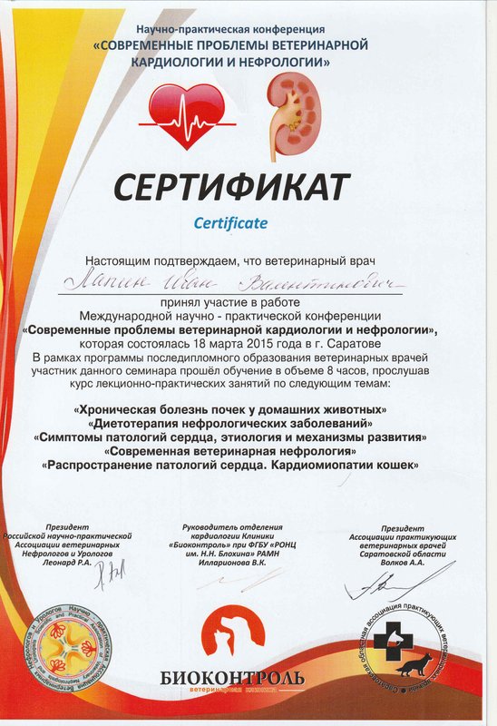 Документ или сертификат