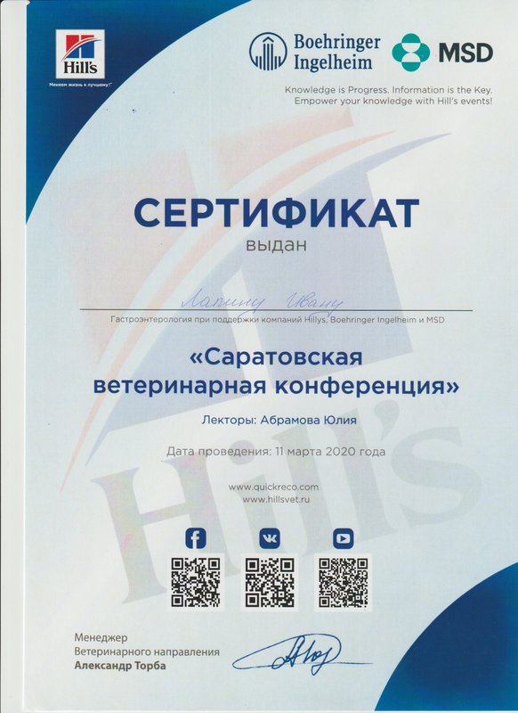 Документ или сертификат