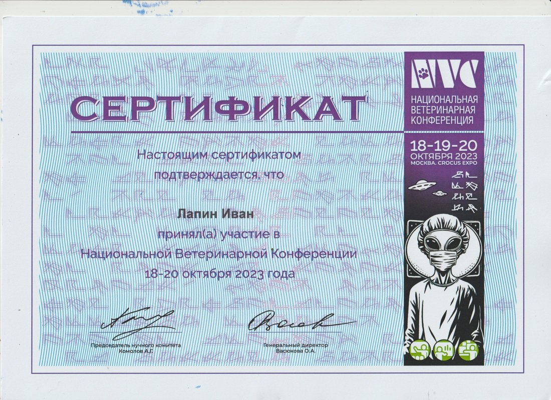 Документ или сертификат