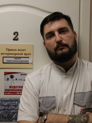 Фото врача Авдеев Павел Александрович