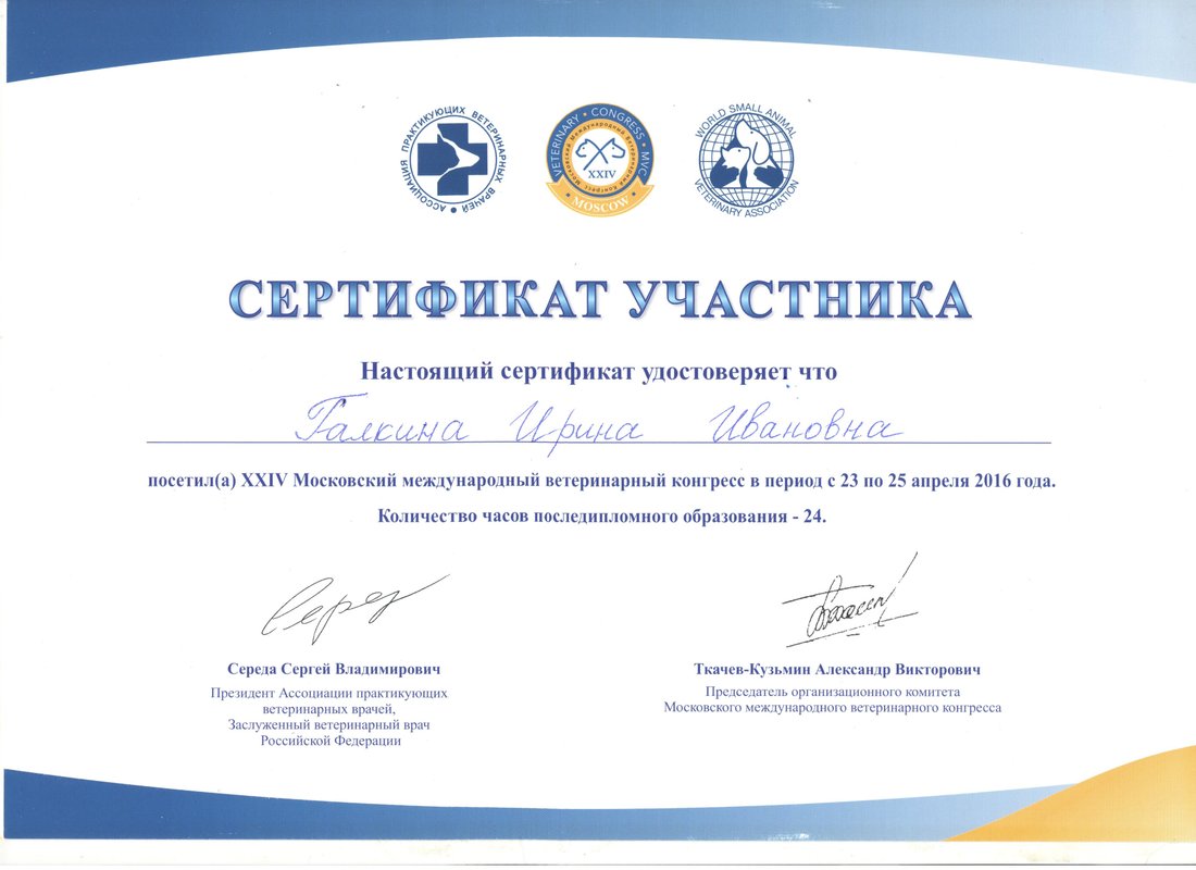 Документ или сертификат