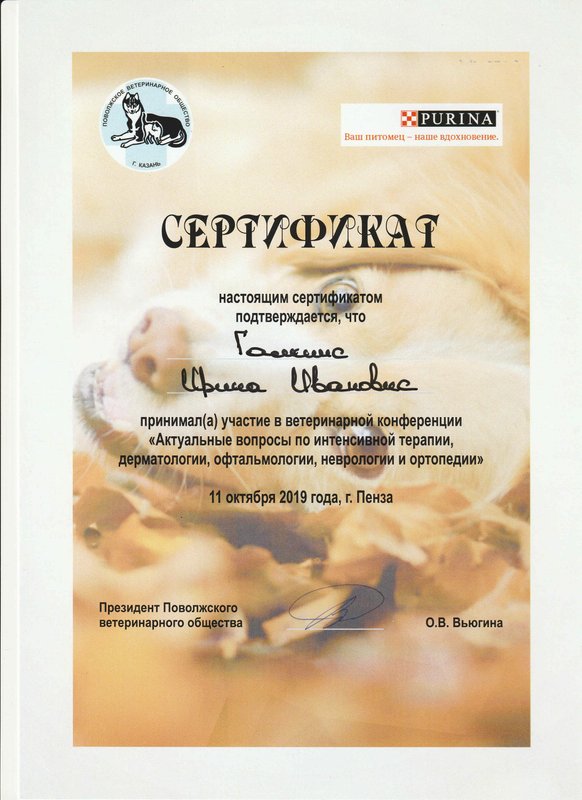 Документ или сертификат