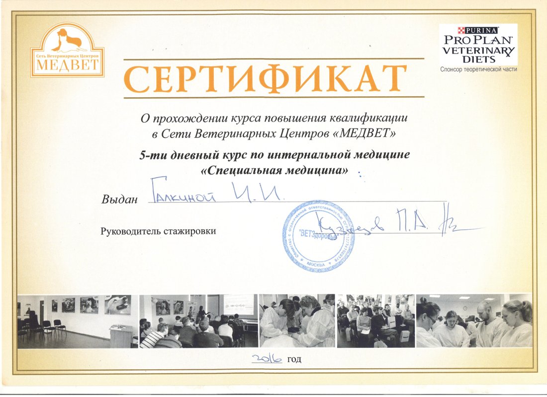 Документ или сертификат