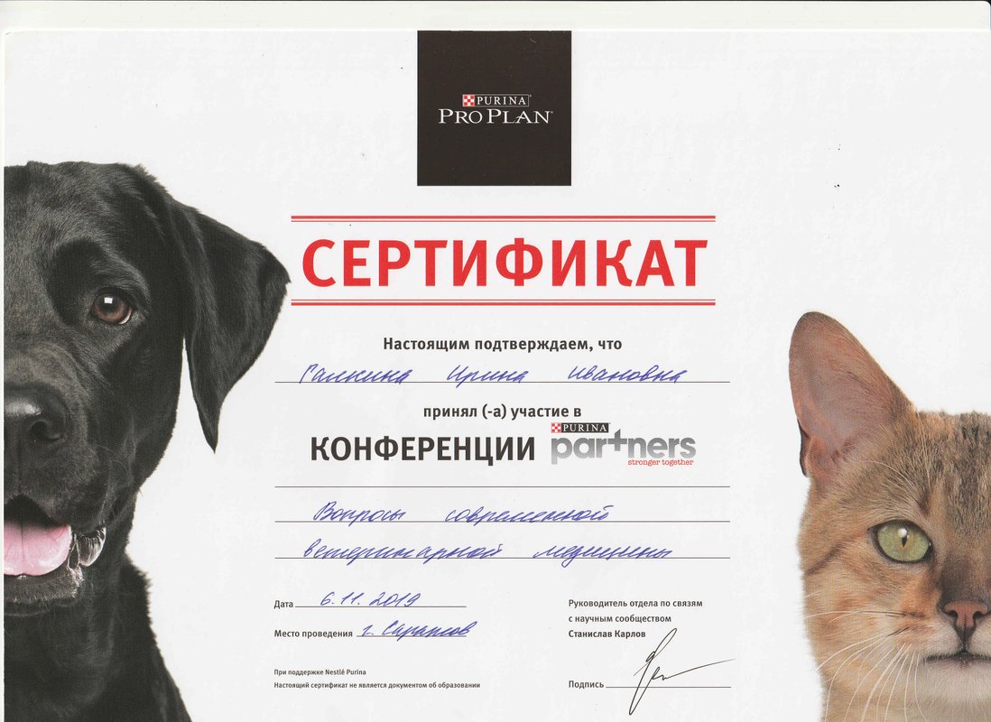 Документ или сертификат