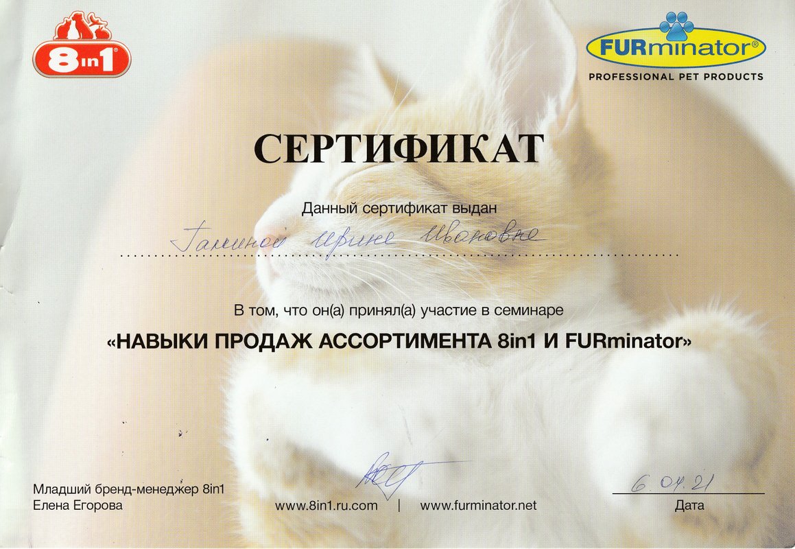 Документ или сертификат