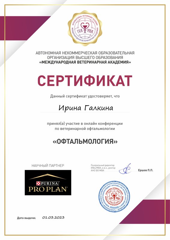 Документ или сертификат