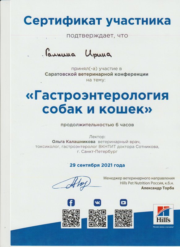 Документ или сертификат