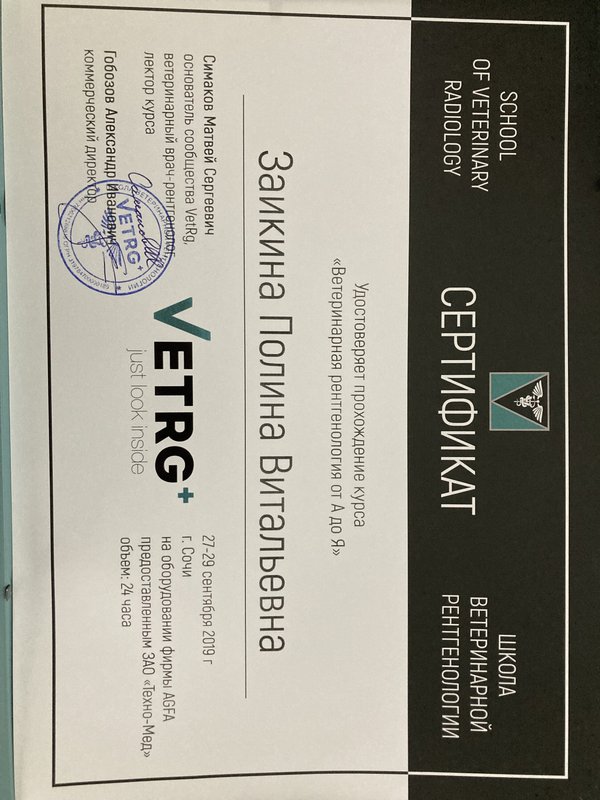 Документ или сертификат