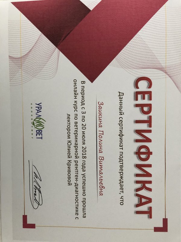 Документ или сертификат