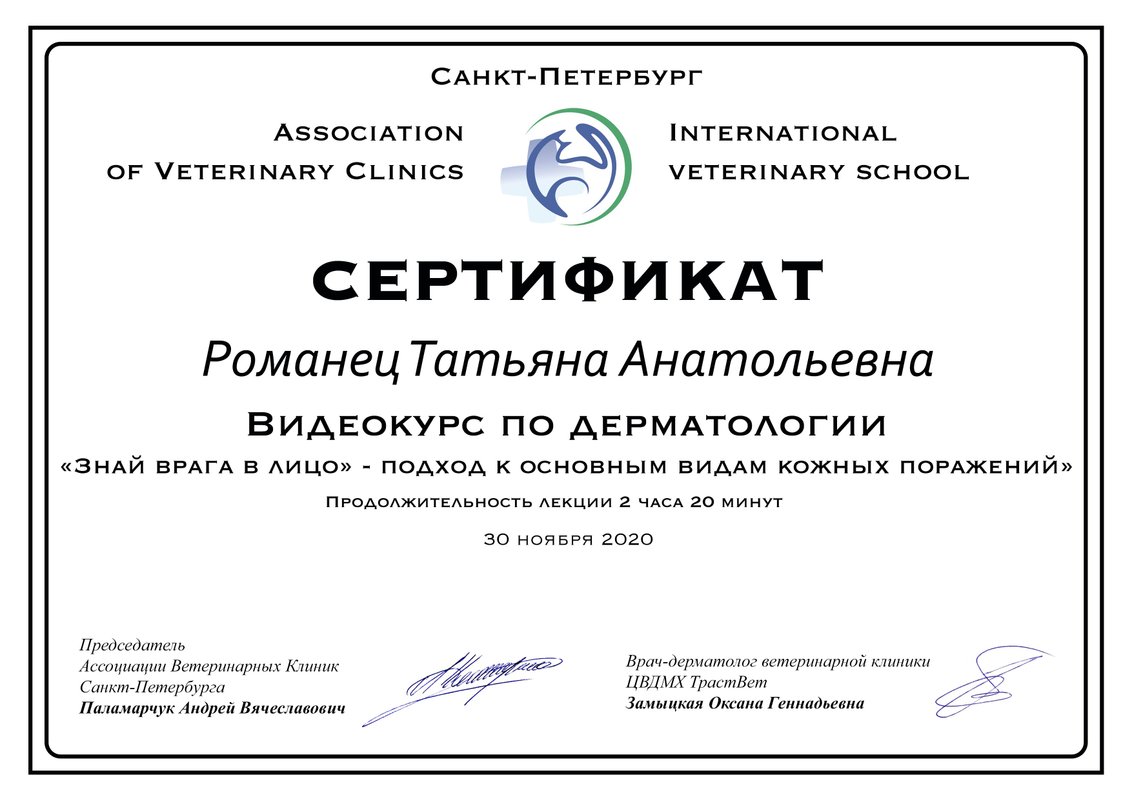 Документ или сертификат