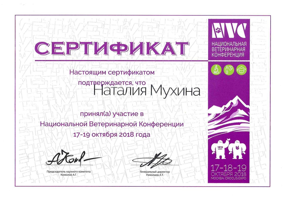 Документ или сертификат