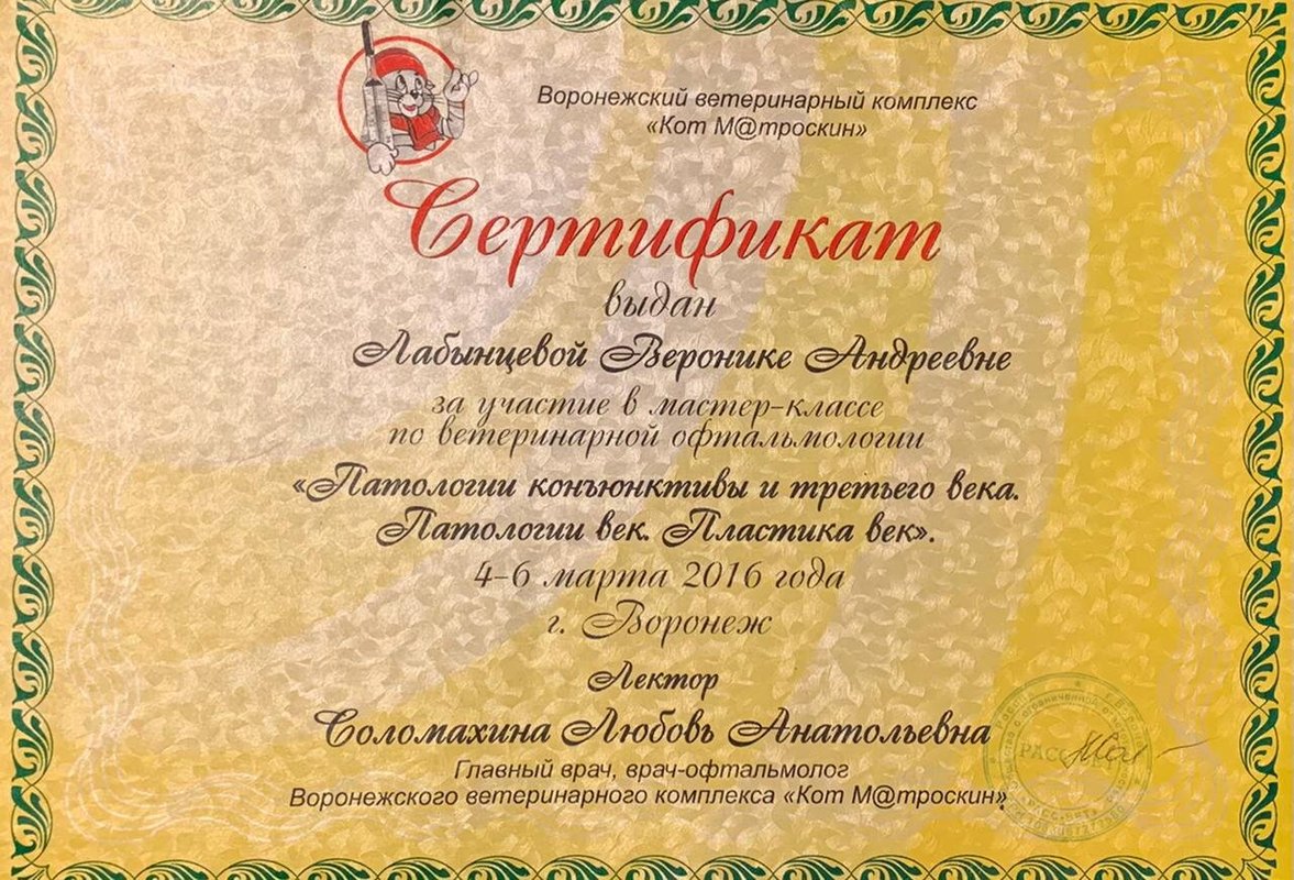Документ или сертификат