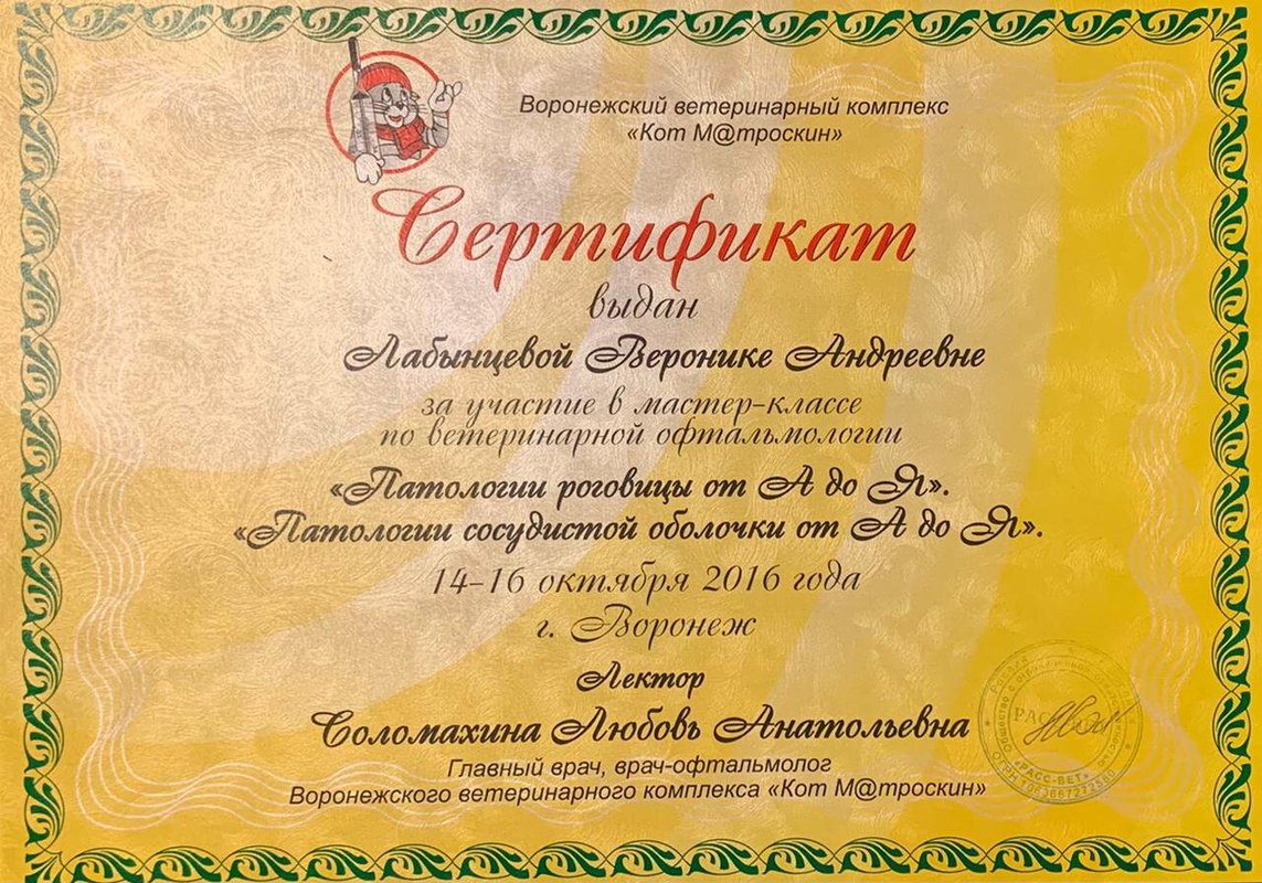 Документ или сертификат