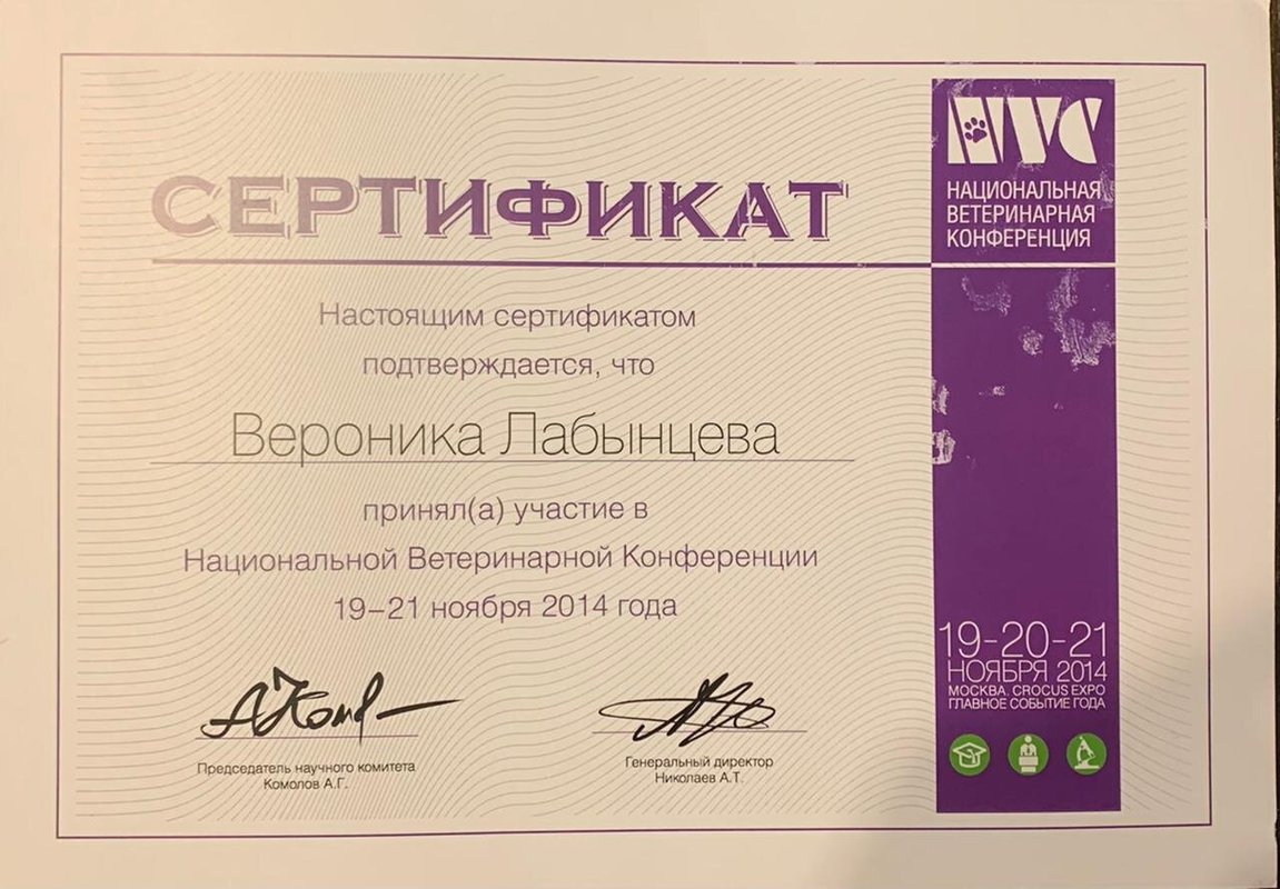 Документ или сертификат
