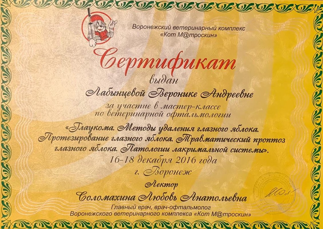 Документ или сертификат