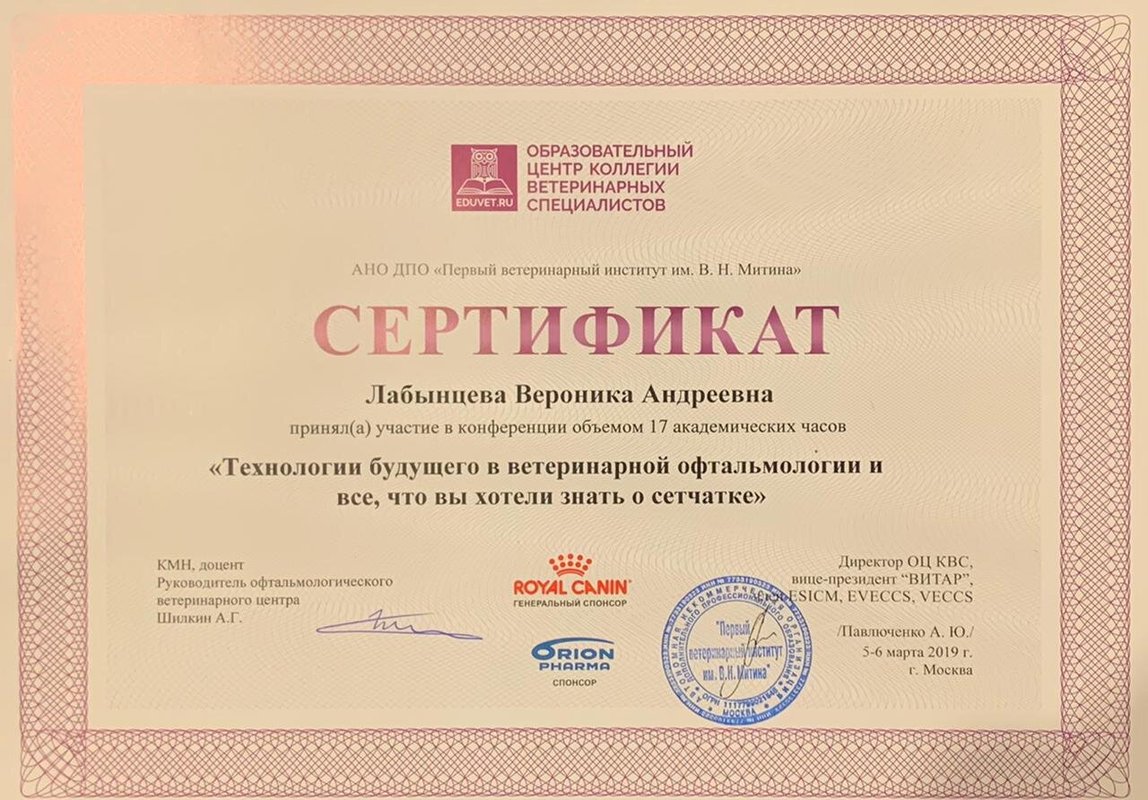 Документ или сертификат