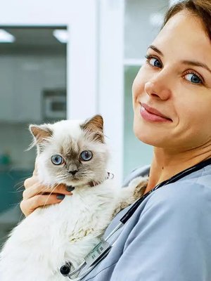 Фото врача Новикова Жанна Валерьевна