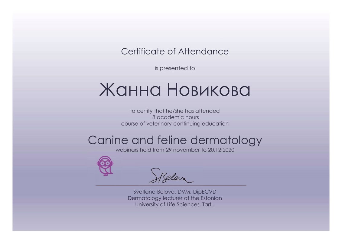 Документ или сертификат