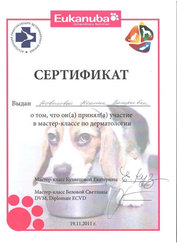 Документ или сертификат