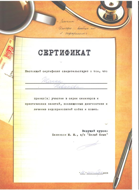 Документ или сертификат