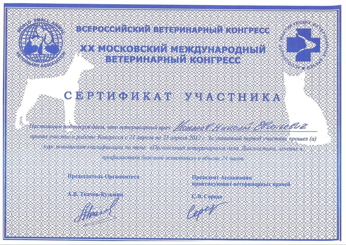 Документ или сертификат