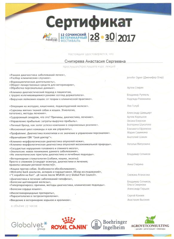 Документ или сертификат