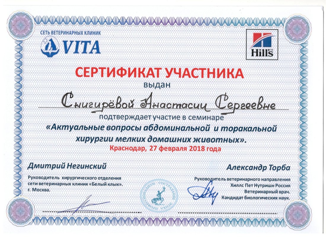 Документ или сертификат