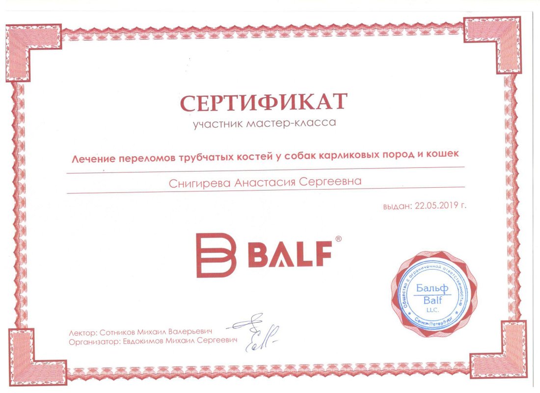 Документ или сертификат