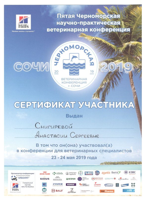 Документ или сертификат