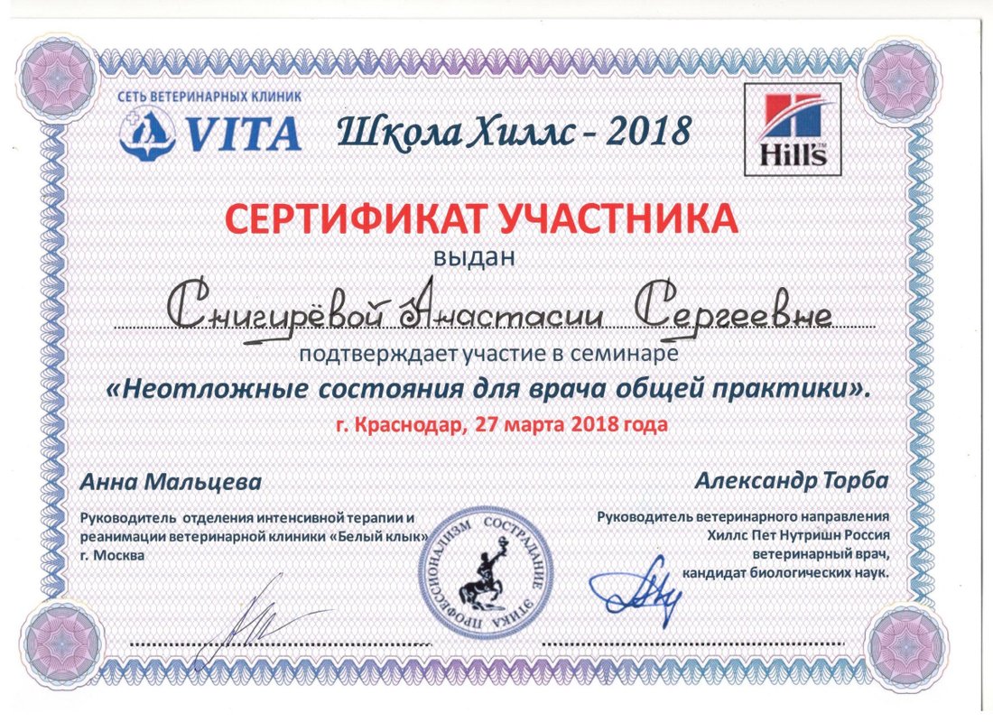 Документ или сертификат