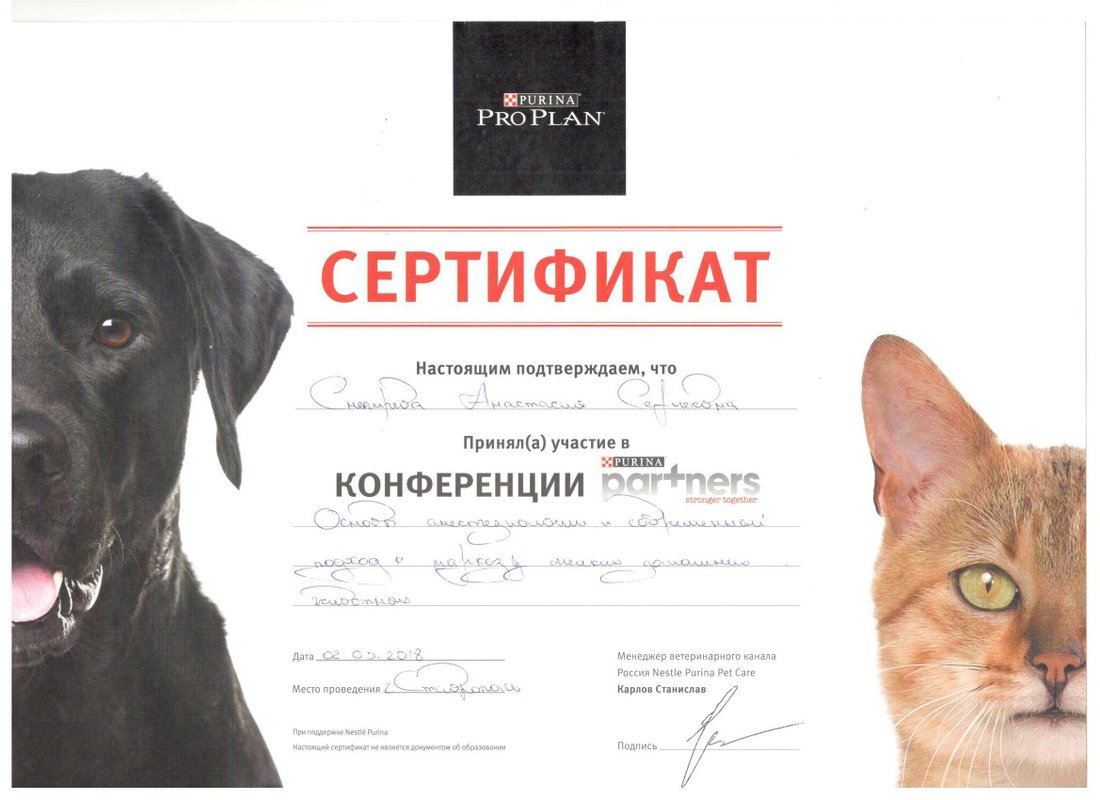 Документ или сертификат