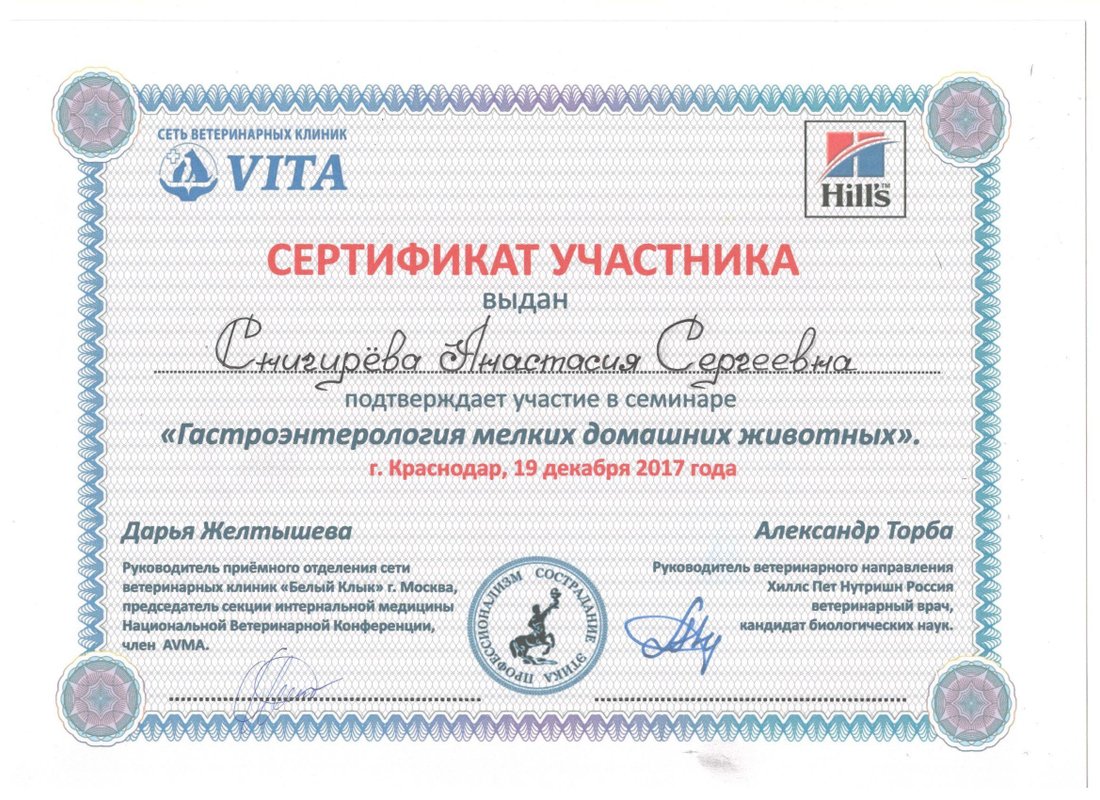 Документ или сертификат
