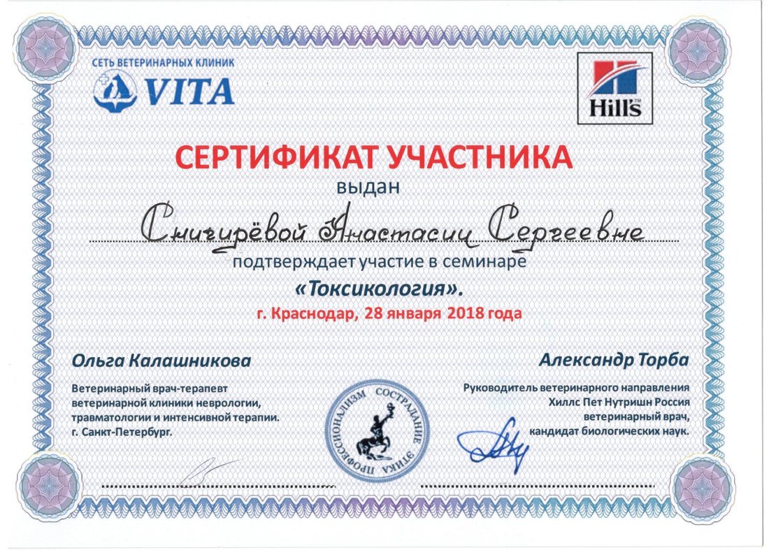 Документ или сертификат