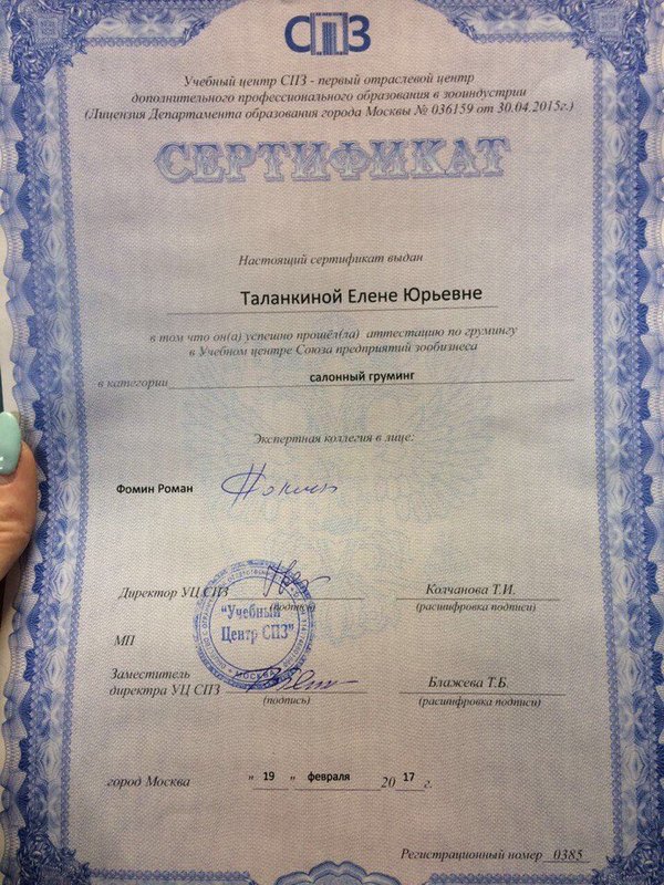 Документ или сертификат